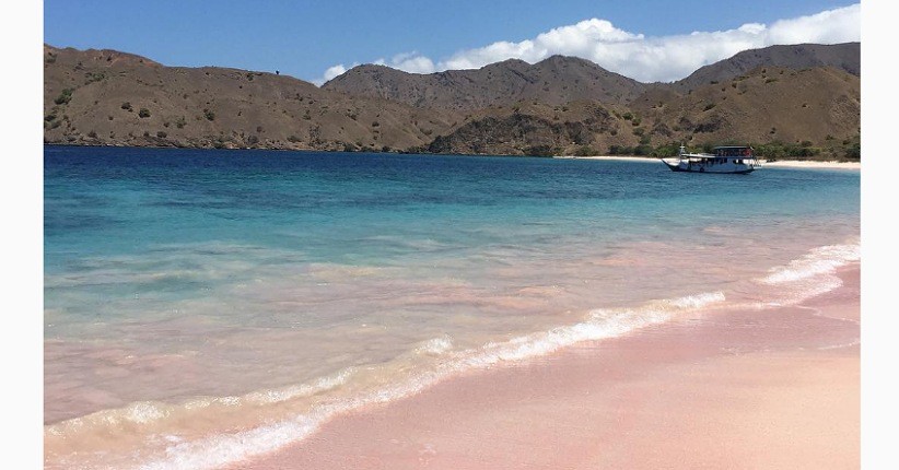 Ide Liburan ke Pantai Pink, Cantik Banget Cocok untuk Anak Instagram!