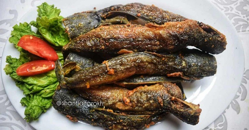 Mengenal Manfaat Ikan Lele untuk Kesehatan, Ternyata Bisa Cerdaskan Otak