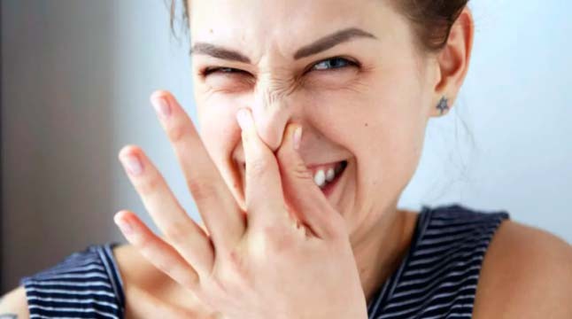 5 Cara Menghilangkan Bau Jengkol di Mulut dan Kencing, Wajib Coba 