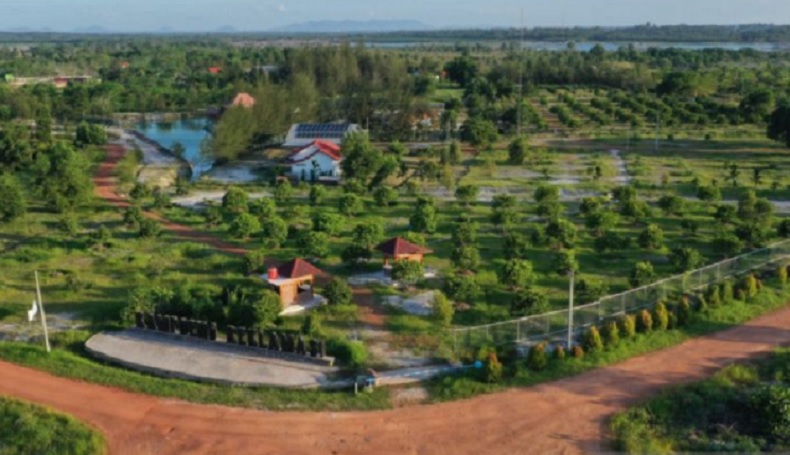 PT Timah Reklamasi 15.682 Hektare Lahan Bekas Tambang di Babel