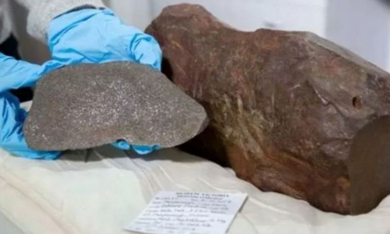 Dikira Bongkahan Emas, Batu Ini Ternyata Meteor Ditaksir Berusia 4,6 Miliar Tahun