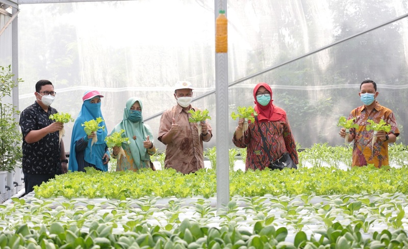 Tanam Sayur Hidroponik, 10 Kampung di Surabaya Raih Penghargaan Proklim dari KLHK