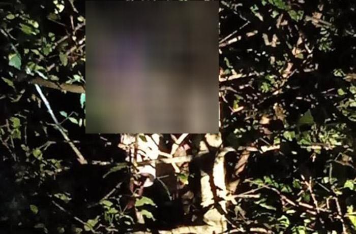 Geger, Warga Bantul Ditemukan Tewas Tergantung pada Pohon di Area Gua Selarong