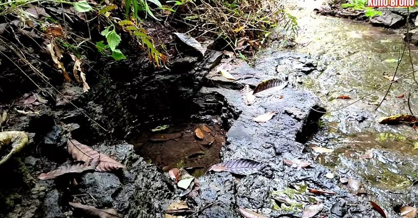 Viral! Penemuan Sumur Kuno Ajaib Bisa Sembuhkan Penyakit, Ternyata Ini Asal Usulnya