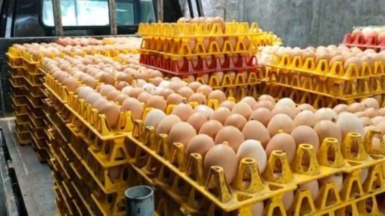 Harga Telur Ayam di Boyolali Naik Drastis, Ini Kata Penjual dan Peternak 