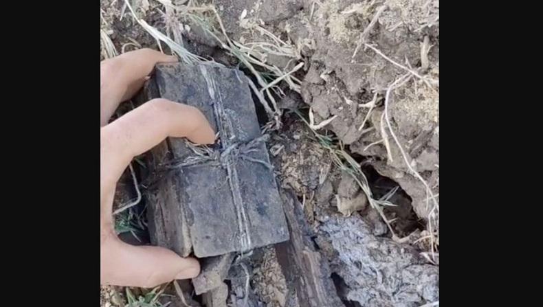 Datangi Kuburan Tua, Pria Ini Temukan Kotak Misterius di Bawah Pohon