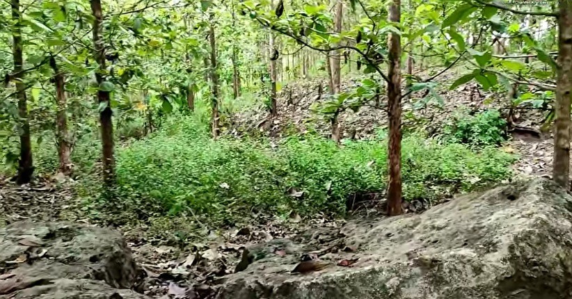 Terungkap, Desa Ini Dulunya Lautan hingga Ditemukan Fosil Perahu Sunan Kalijaga   