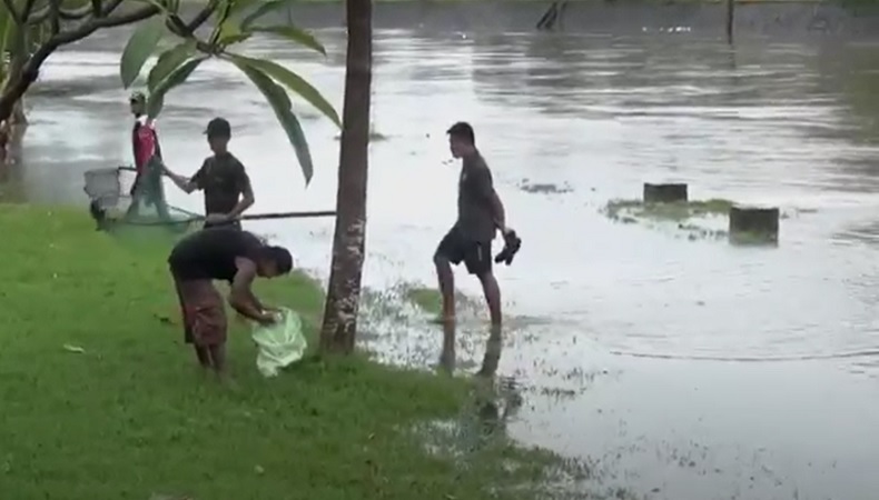 Sungai Badung Meluap, Warga Denpasar Panen Ikan 