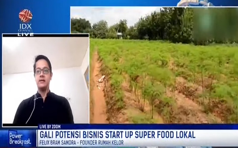 Melihat Potensi Bisnis di Balik Daun Kelor