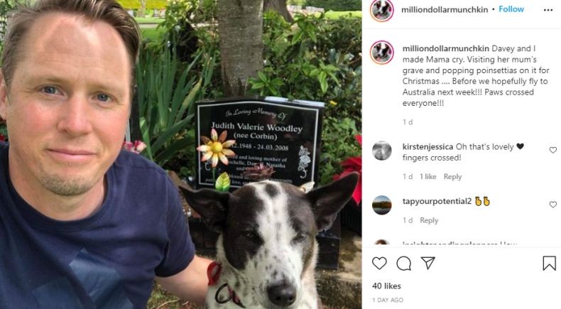 Salut, Pasutri Australia Ini Rogoh Rp462 Juta Sewa Jet Pribadi untuk Pulangkan Anjing Liar asal Bali