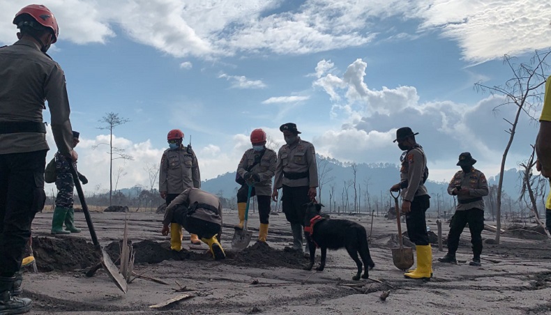  43 Orang Meninggal Dunia akibat Erupsi Gunung Semeru