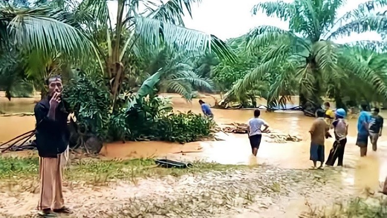 Banjir Rendam Puluhan Rumah di Solok Selatan, 31 KK Terdampak