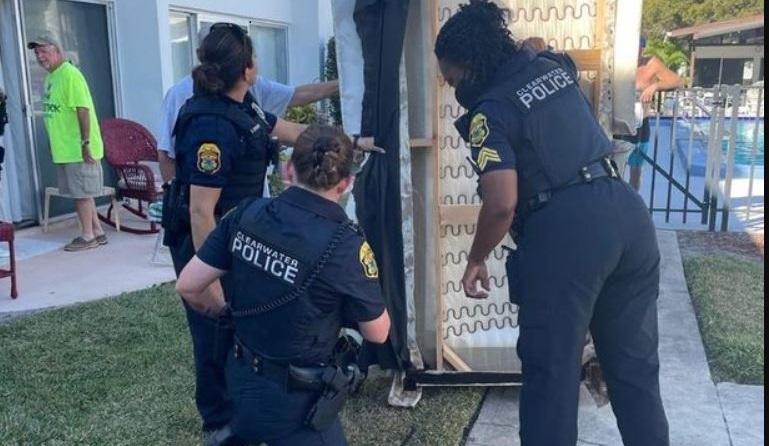 Beli Sofa Baru, Pria Ini Temukan Ular 1,5 Meter di Dalamnya