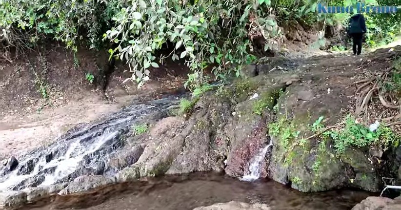 Viral, Sumber Mata Air Ini Keluar dari Akar Pohon, Dipercaya Bisa Sembuhkan Penyakit