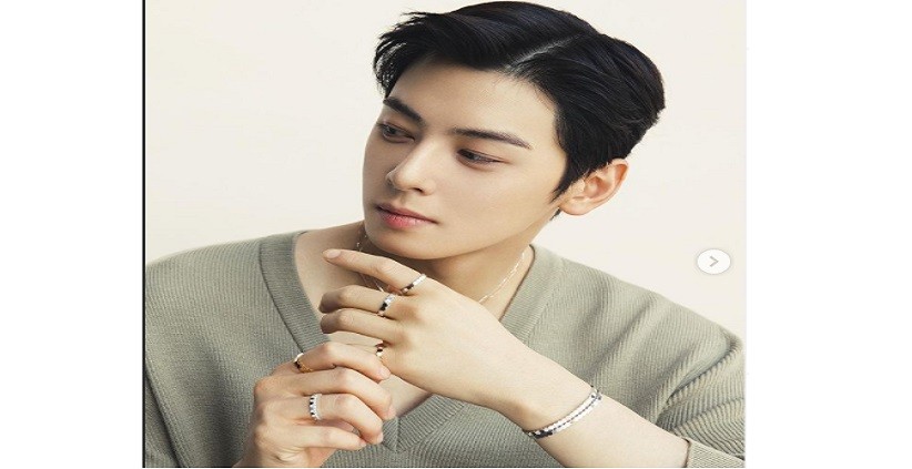 Profil Biodata Cha Eun Woo, Aktor K-Pop yang Memiliki Wajah Sempurna 