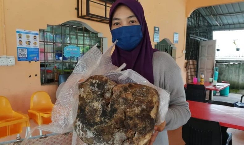 Ketiban Rezeki, Perempuan Ini Temukan Muntah Ikan Paus Senilai Rp3 Miliar saat Mancing di Pantai