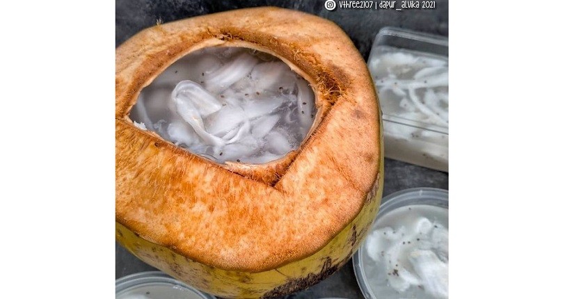 Cara Membuat Puding Kelapa Muda dengan 3 Cara, Lezat Menggugah Selera
