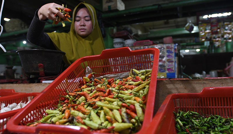 Harga Cabai Rawit Merah Masih Rp100.000 per Kg, Ini Penyebabnya