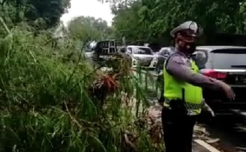 Jakarta Hujan Deras, Jalan Fatmawati Tergenang hingga Pohon Tumbang di Antasari