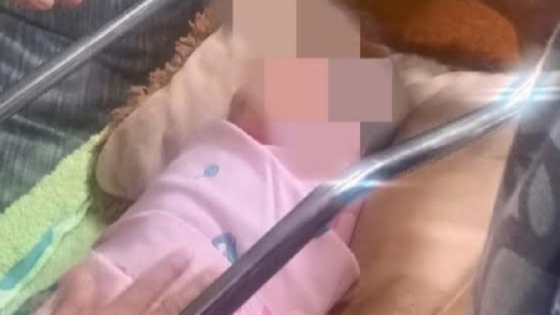 Bayi Perempuan Ditemukan Terbungkus Kain Hijau di Kebun Bambu Bogor