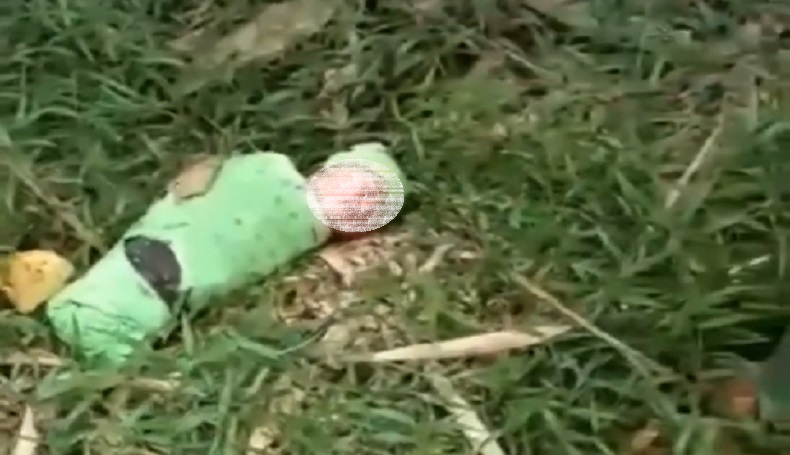Viral, Bayi Dikerubuti Semut Tergeletak di Hutan Bambu, Netizen: Astaghfirullah