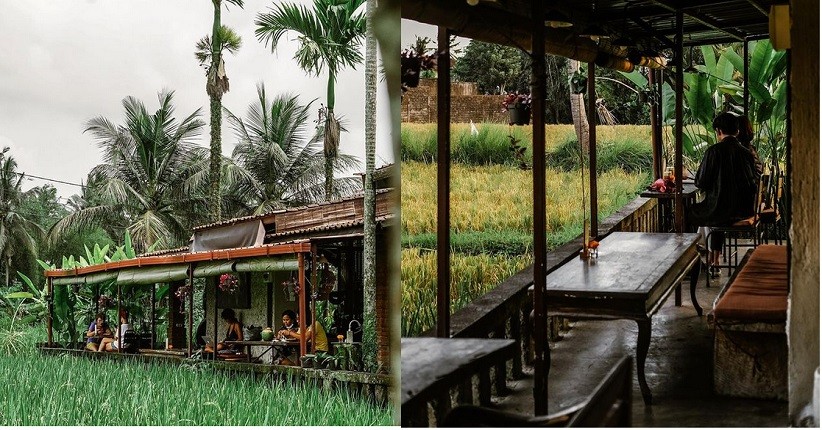 Ide Liburan di Bali, Eksotis Ada Kafe Pinggir Sawah yang Instagramable