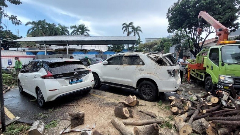 Pajero Sport Ringsek Tertimpa Pohon Sengon di Parkiran RS Pelni Petamburan