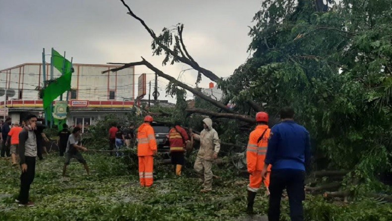 Korban Pohon Tumbang di Tangerang Bisa Klaim Asuransi, Kerusakan Rumah hingga Kendaraan