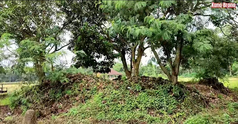 Menakutkan, Ditemukan Candi Kuno di Tengah Sawah, Ternyata Jadi Sarang Ular Hitam