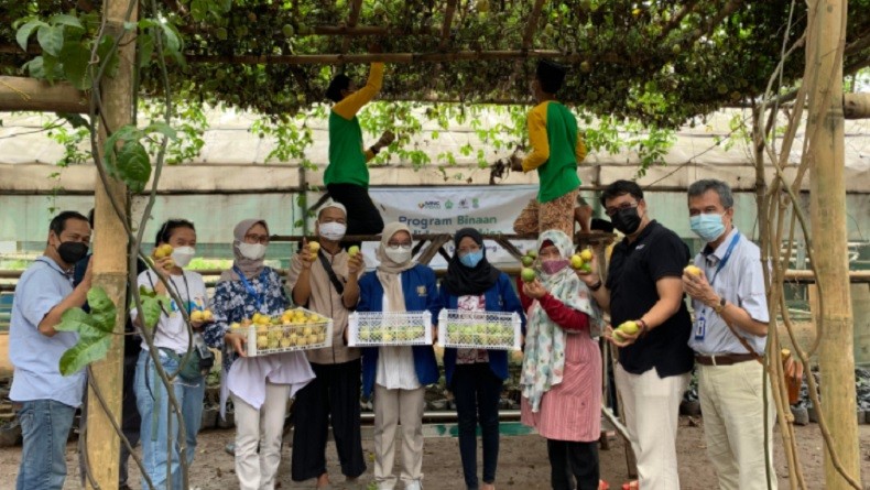 Hasil Budi Daya Markisa Bersama MNC Peduli dan STIE MNC di Bekasi Dijadikan Produk Jus Kemasan