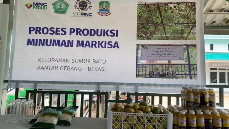 Budi Daya Markisa Bersama MNC Peduli di Bantargebang Berhasil, MNC College Targetkan Produk Lain