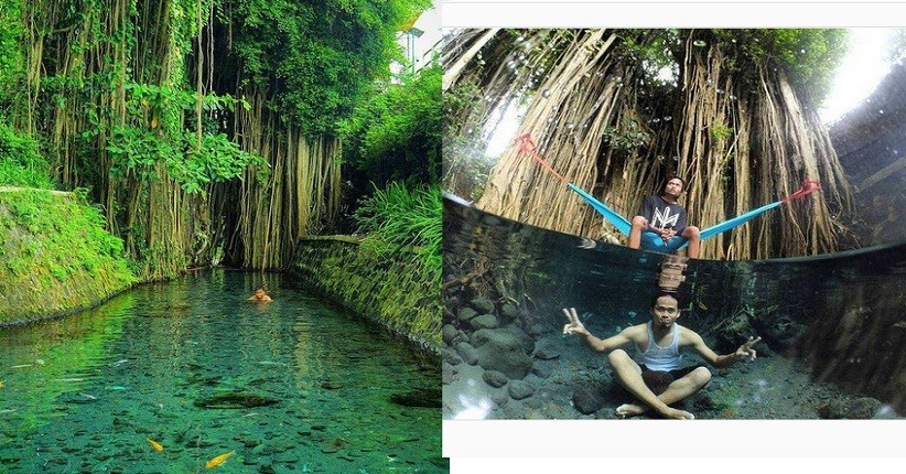 5 Keindahan Wisata Umbul di Klaten, Nomor 2 Berusia 100 Tahun