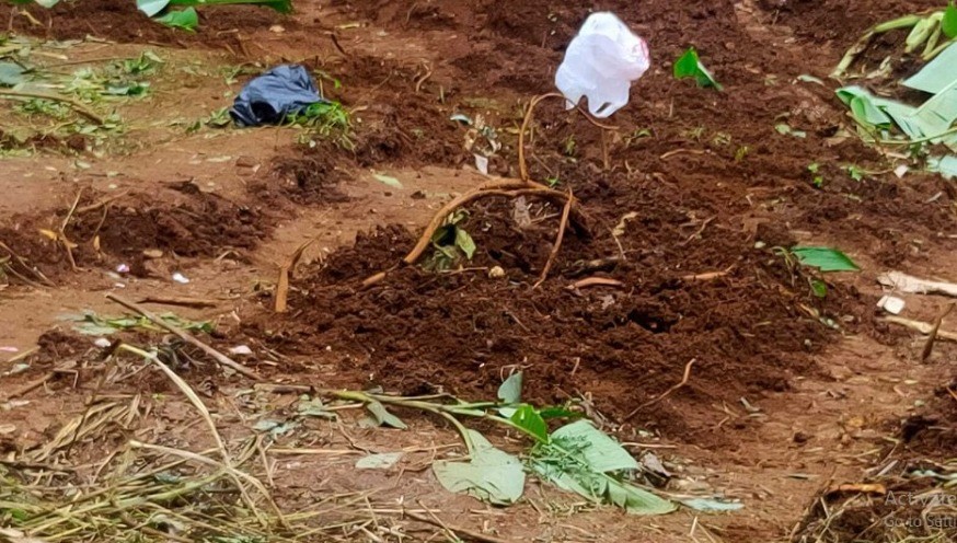 Kuli Bangunan Temukan Granat Zaman Perang di Ciputat, Polisi : Masih Aktif