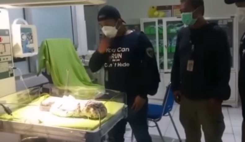 Heboh Bayi Baru Lahir Ditemukan di Semak-Semak, Diduga Dibuang Orang tuanya