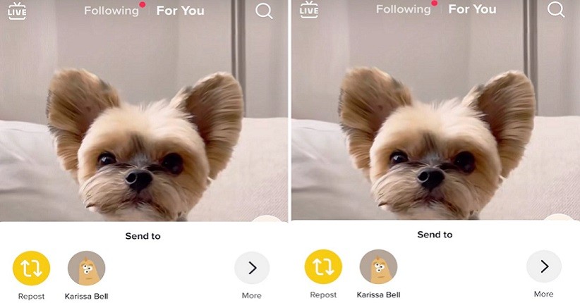 TikTok Uji Tombol Repost , Percepat Pengguna Berbagi Klip dengan Teman