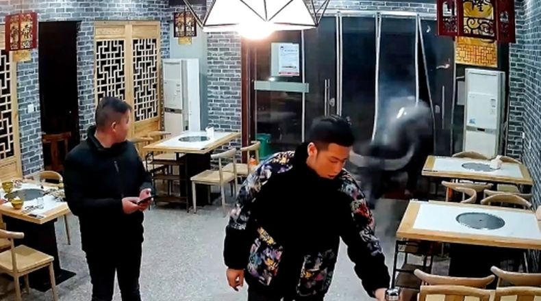 Terekam CCTV, Kerbau Ngamuk Masuk Restoran Seruduk Pengunjung hingga Terpelanting
