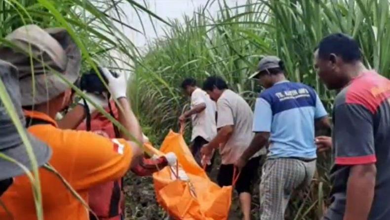 Brebes Geger, Perempuan Tewas di Kebun Tebu Diduga Korban Pembunuhan  