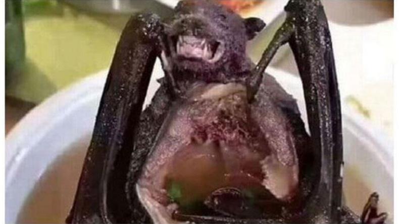 6 Makanan Tradisional Indonesia yang Ekstrem, Ada Biawak hingga Kelelawar