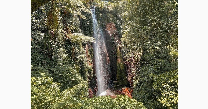 Kisah Misterius yang Tersembunyi di Curug Nangka, Aneh Ada Pohon Mendadak Hilang