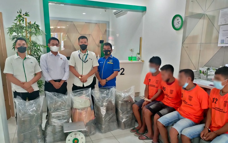 Satresnarkoba Polres Pasaman Barat Gagalkan Penyelundupan 55 Kg Ganja
