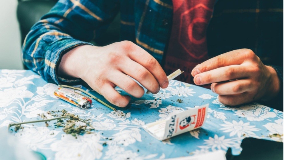 Ini Dampak Buruk Ganja bagi Tubuh, Jenis Narkoba yang Dipakai Ardhito Pramono 