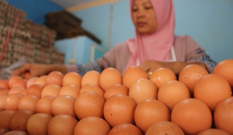 APPSI: Kalimantan, Maluku, dan Papua Patok Harga Telur Termahal