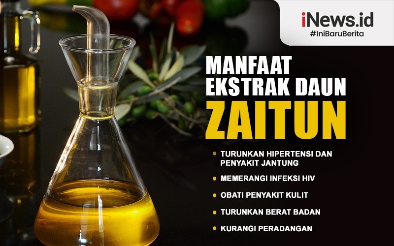 Mengenal Manfaat Ekstrak Daun Zaitun untuk Hipertensi hingga Diet