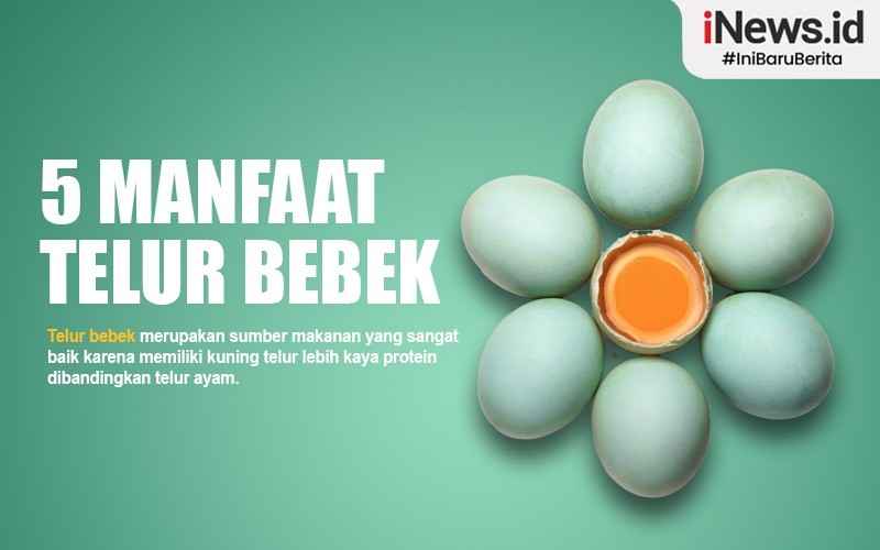 5 Manfaat Telur Bebek, Kuatkan Tulang dan Cegah Kanker