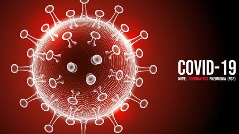 Kasus Positif Covid-19 Hari Ini Tembus 7.010: Transmisi Lokal 6.797 dan 213 Impor