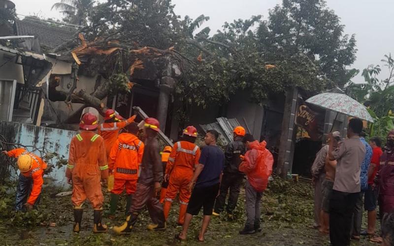 Angin Kencang Terjang Ungaran Barat, Pohon Tumbang Timpa Rumah Warga