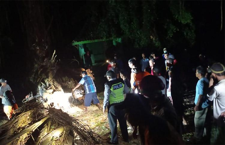 Pohon Beringin Tumbang Timpa Rumah Warga Gunungkidul  