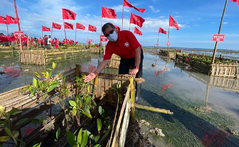 Minta Jokowi Perhatikan Lingkungan dalam Pembangunan, Sekjen PDIP: Ternyata Sangat Vital