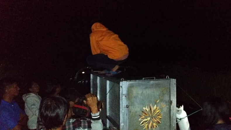 Beruang Madu Terjerat di Ladang Warga Solok Selatan, Kaki Kiri Terluka