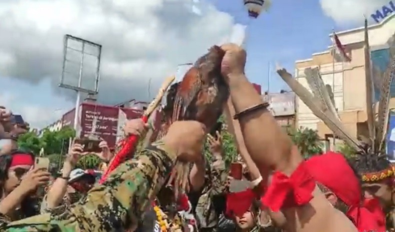 Gelar Ritual Potong Babi dan Ayam, Masyarakat Dayak: Edy Mulyadi Lukai Warga Kalimantan